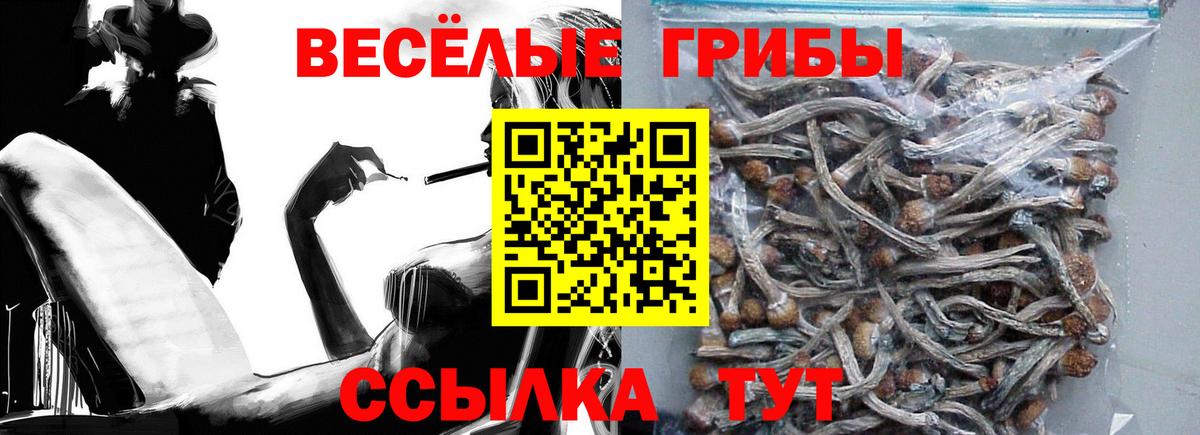 Галлюциногенные грибы MAGIC MUSHROOMS  Вход с VPN  Альметьевск 